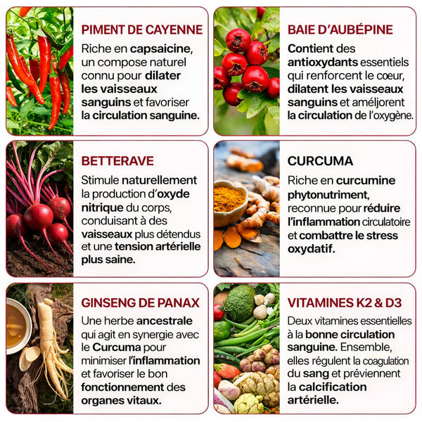 Cayenne Vitalité Quotidienne Essentielle Plus
