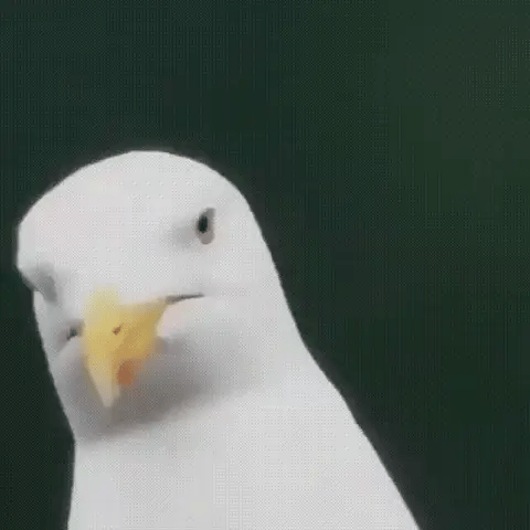 Mini Jumelles de Poche Aventure