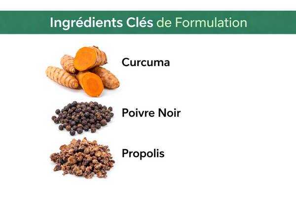 Turmeric Confort Articulaire Naturel Facile